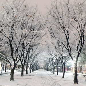 TOUR 2025 - SEOUL - NAMI - LOTTE WORLD - ĐẦU T12.2025